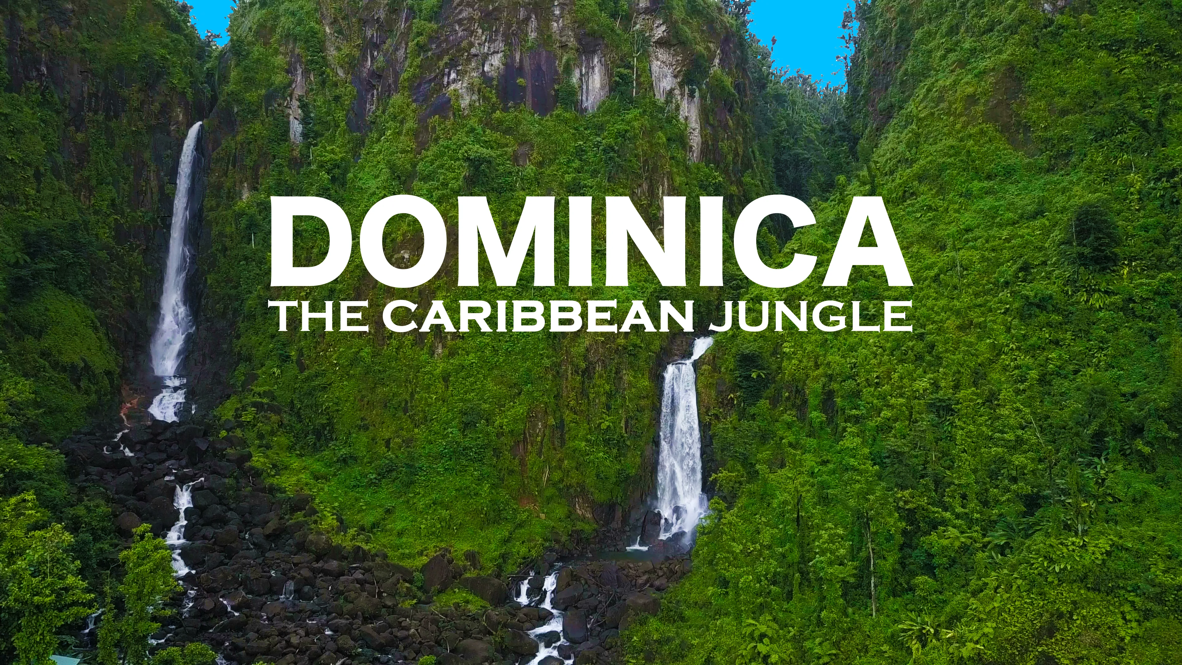 Dominica, the Caribbean Jungle poster